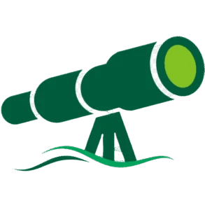 Image of dart in the vision section